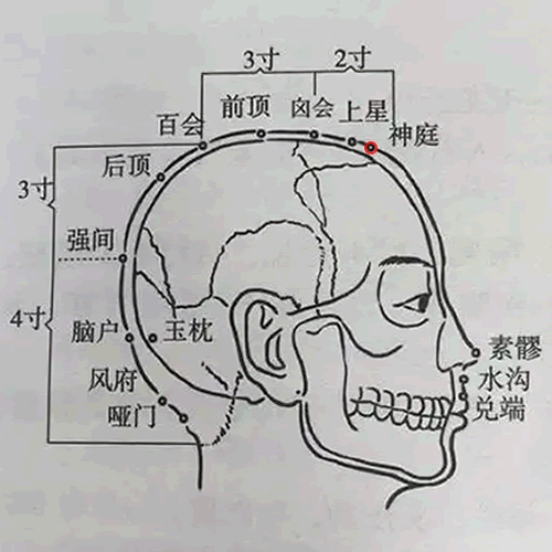 神庭 - 图片1
