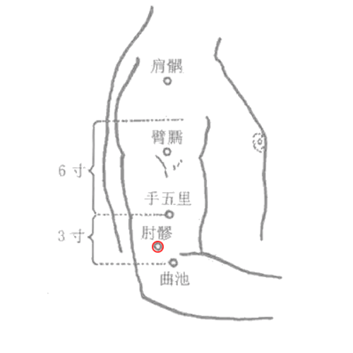 肘髎 - 图片1