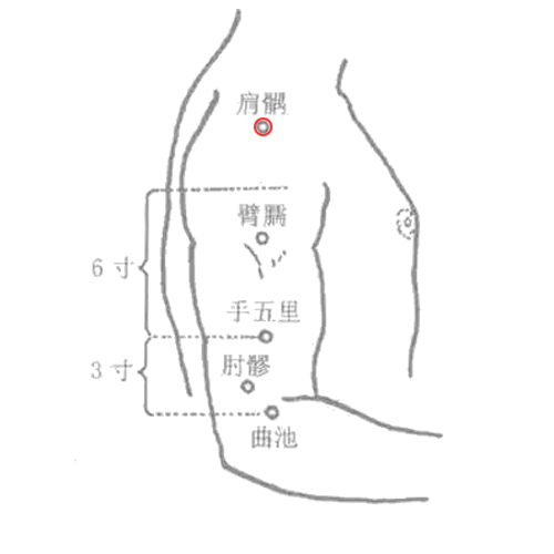 肩髃 - 图片1
