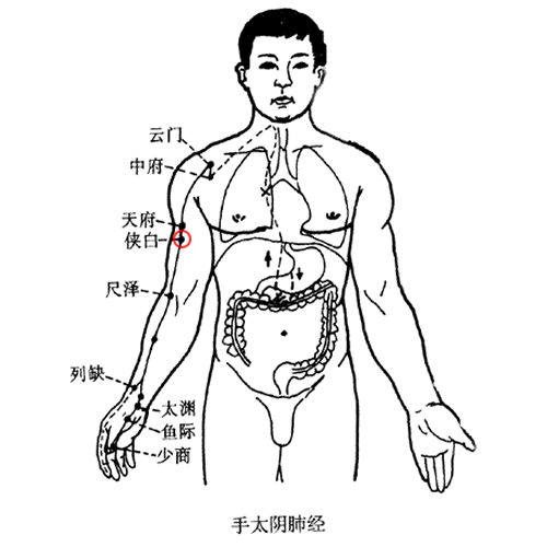 侠白 - 图片1