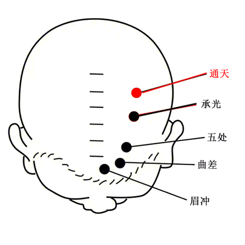 通天 - 图片1