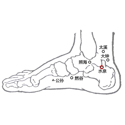 水泉 - 图片1