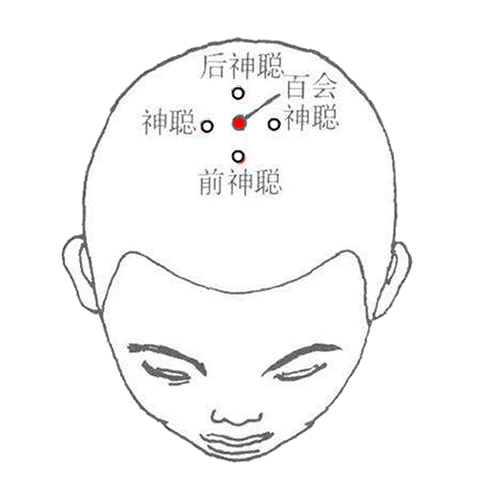 百会 - 图片1