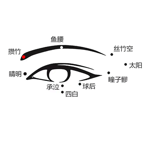 攒竹 - 图片1
