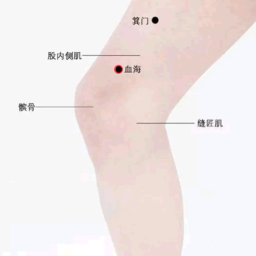 血海 - 图片1