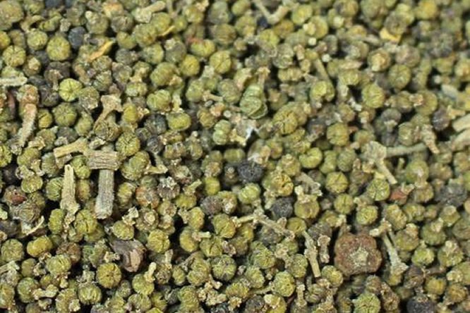 吴茱萸 - 图片2