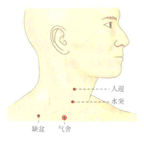 气舍 - 图片1