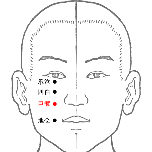 巨髎 - 图片1