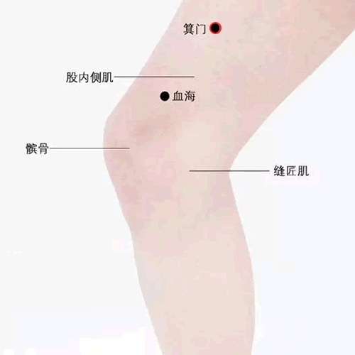 箕门 - 图片1