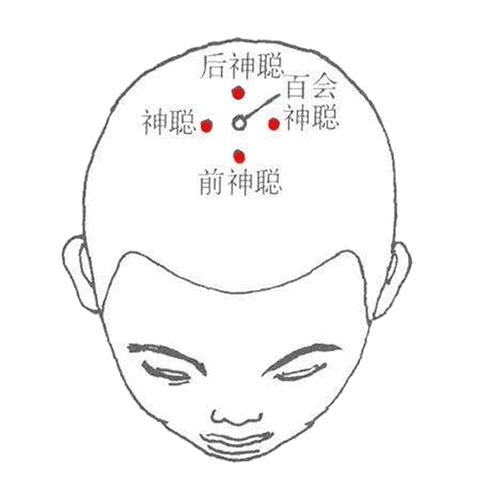 四神聪 - 图片1