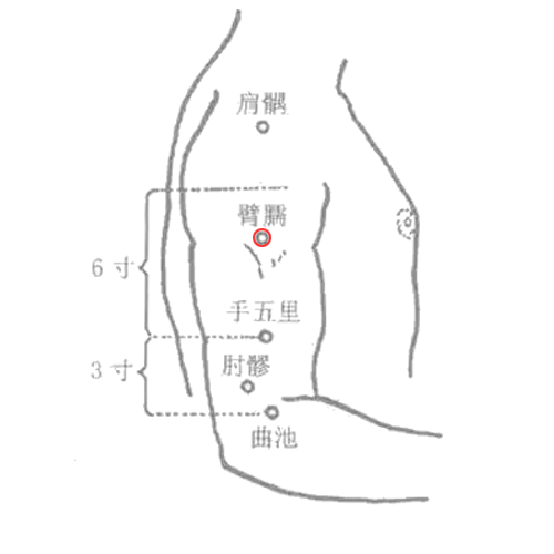 臂臑 - 图片1