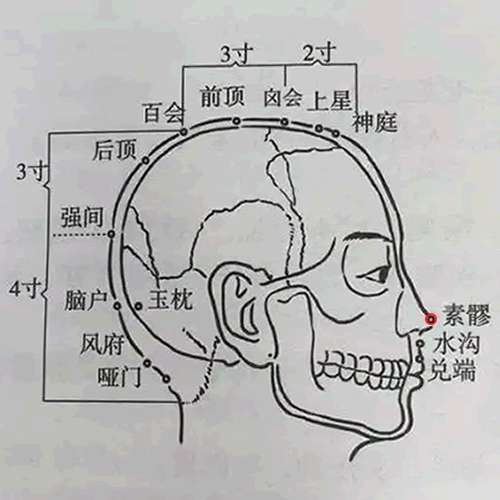 素髎 - 图片1