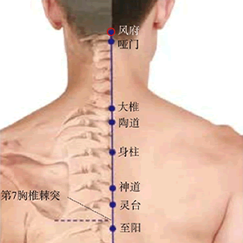 风府 - 图片1