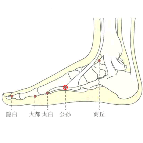 公孙 - 图片1