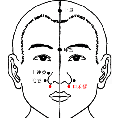 口禾髎 - 图片1