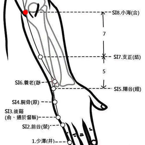 小海 - 图片1