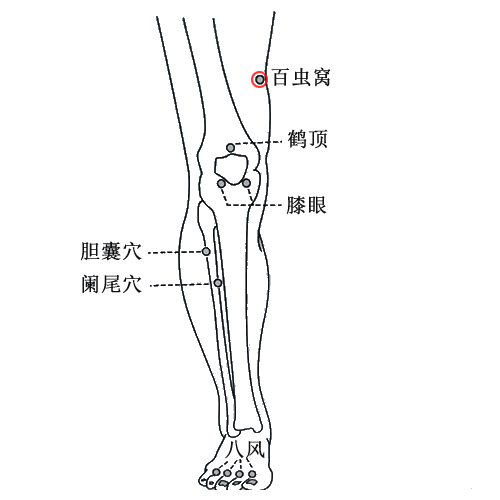 百虫窝 - 图片1
