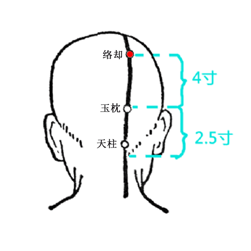 络却 - 图片1