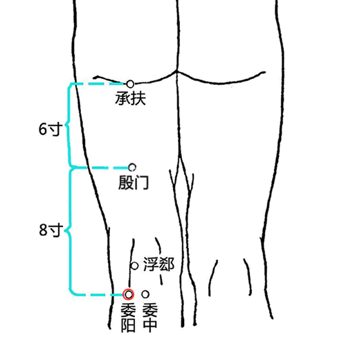 委阳 - 图片1