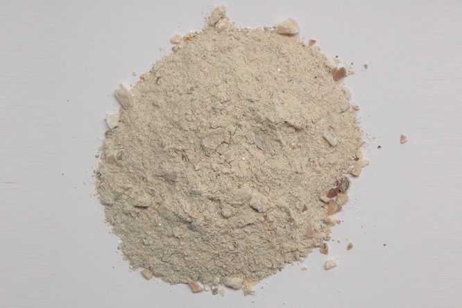 珍珠母 - 图片1