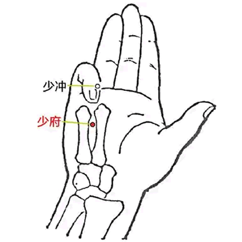 少府 - 图片1