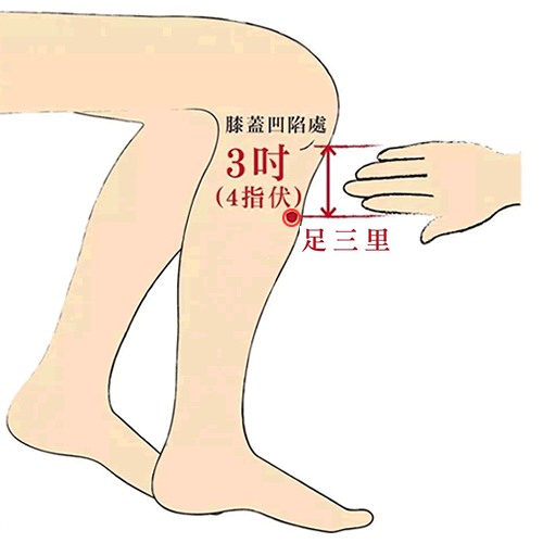 足三里 - 图片1