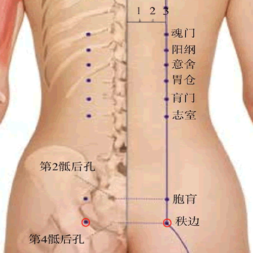 秩边 - 图片1