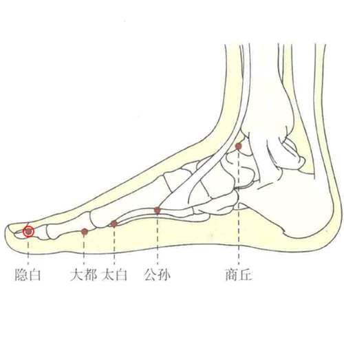 隐白 - 图片1