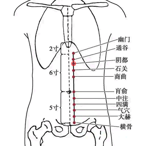 阴都 - 图片1
