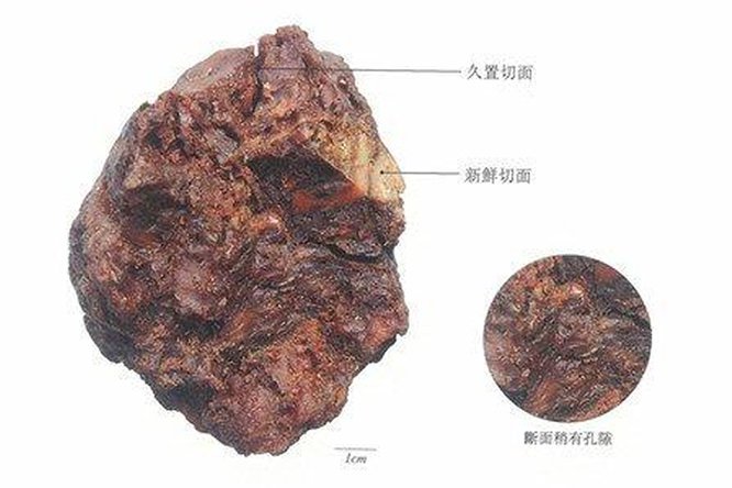 阿魏 - 图片2