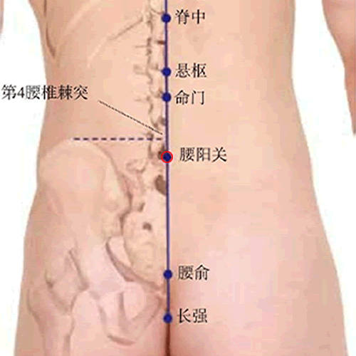 腰阳关 - 图片1