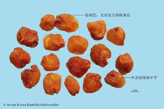 龙眼肉 - 图片2
