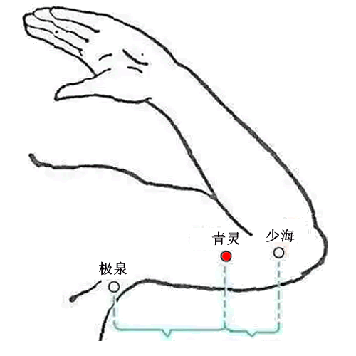青灵 - 图片1
