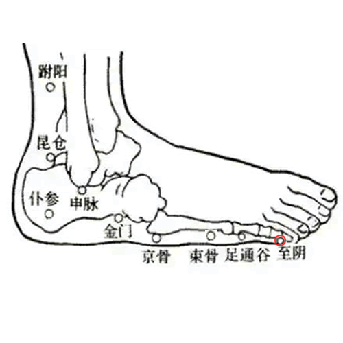 至阴 - 图片1