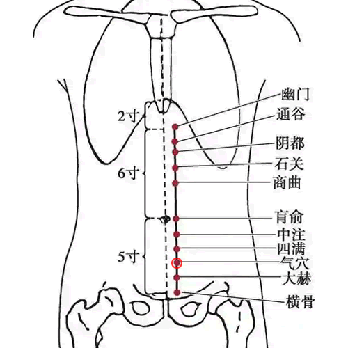 气穴 - 图片1