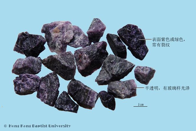 紫石英 - 图片2
