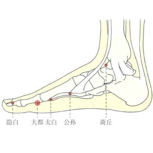 大都 - 图片1