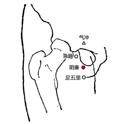 阴廉 - 图片1