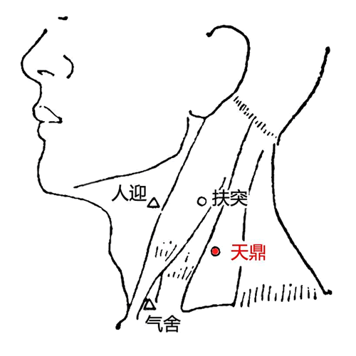 天鼎 - 图片1