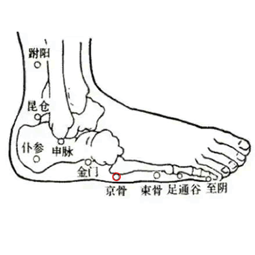 京骨 - 图片1