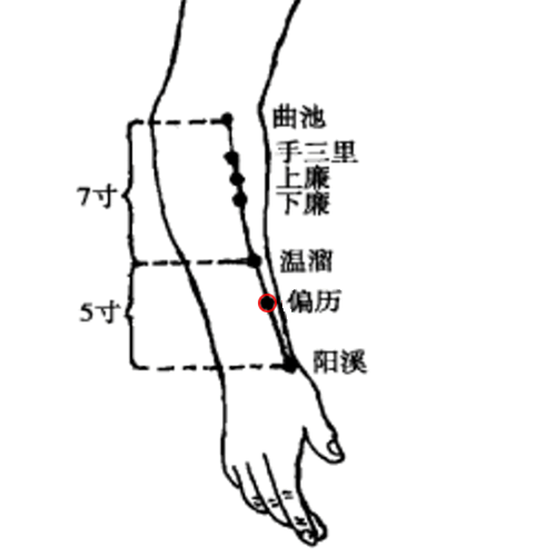 偏历 - 图片1