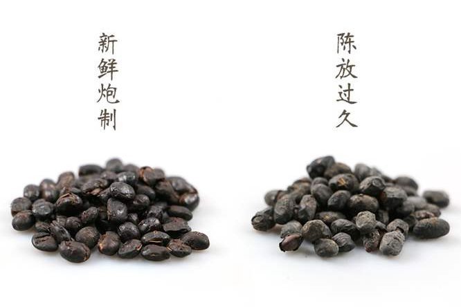 淡豆豉 - 图片3