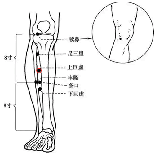 上巨虚 - 图片1