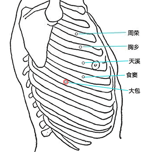 大包 - 图片1