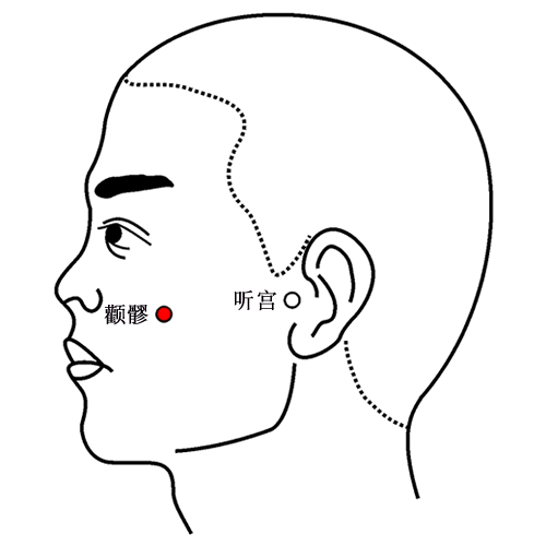 颧髎 - 图片1