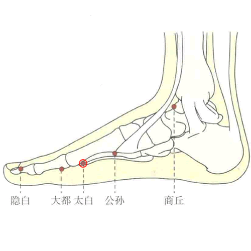太白 - 图片1