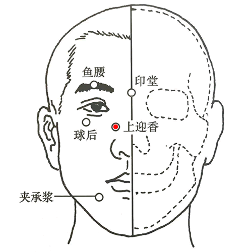 上迎香 - 图片1