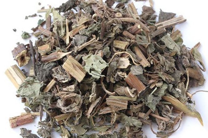 薄荷 - 图片1