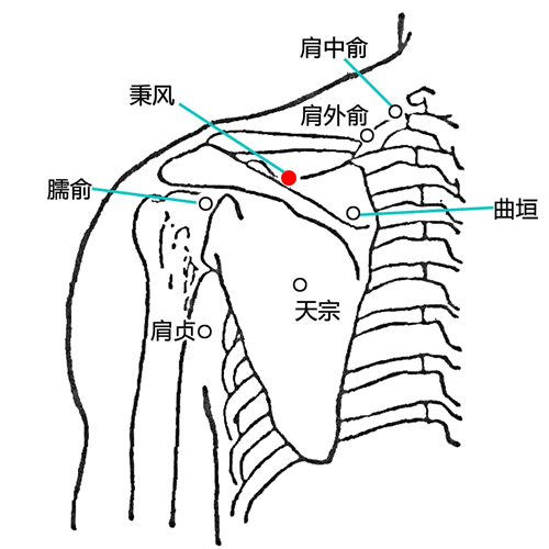 秉风 - 图片1