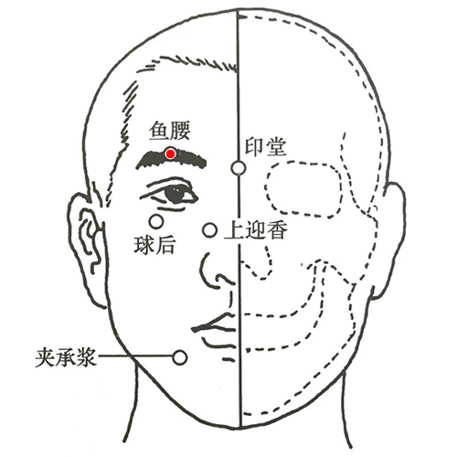 鱼腰 - 图片1